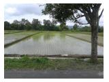 Tanah Dijual Utaranya RSIY PDHI Kalasan Sleman Yogyakarta - SHM - 1739 m2