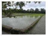 Tanah Dijual Utaranya RSIY PDHI Kalasan Sleman Yogyakarta - SHM - 1739 m2