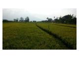 Jual Tanah Kebun dan Sawah di Caringin, Bogor Timur - 10.000 m2 - SHM