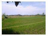tanah di jual cepat murah di saba