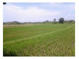tanah di jual cepat murah di saba