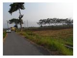 tampak dari arah timur laut, tanah didekat pohon