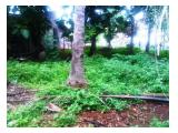 dijual tanah kebun