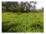 Jual Tanah Perkebunan Murah Luas 6,7 ha Harga Rp. 1.186 M