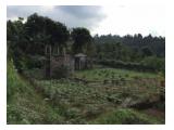 Tanah Dengan View Indah di Kaki Gunung Salak