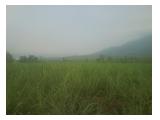 Tanah Sawah 15ha di Wonogiri Gempol (1km dari Jln Raya Surabaya-Malang)
