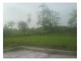 Tanah Sawah 15ha di Wonogiri Gempol (1km dari Jln Raya Surabaya-Malang)