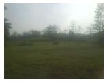 Tanah Sawah 15ha di Wonogiri Gempol (1km dari Jln Raya Surabaya-Malang)
