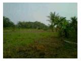 Tanah dijual murah 850 m2 200jt