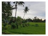 Jual TANAH (sawah) di MAROS Sulawesi Selatan