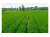 JUAL TANAH SAWAH