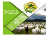 Invetasi Kavling Produktif Algira Kampung Qurban Bogor-Cigudeg