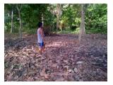 JUAL TANAH di Lod Tunduh, Ubud, Gianyar, Bali