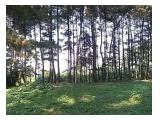 Di jual tanah di gunung geulis bogor