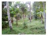 Dijual kebun manggis,kelapa,alba dll,2 Hektar,jalan hotmix Kab.Tasikmalaya 	 Dijual kebun manggis,kelapa,alba dll,2 Hektar,jalan hotmix Kab.Tasikmalaya