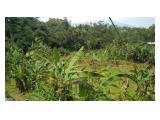 Dijual Tanah di Cigombong Bogor