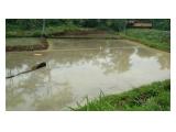 Dijual Tanah di Cigombong Bogor