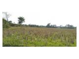 SAWAH PRODUKTIF DI LOKASI STRATEGIS