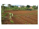 Tanah Dijual Murah