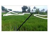 Batas utara sawah