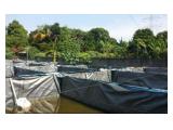 Jual Tanah SHM - Tapos Cimanggis Depok Luas 590 m2