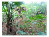 Jual Tanah di Kelapa Nunggal Bogor - Luas 840 m2