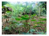 Jual Tanah di Kelapa Nunggal Bogor - Luas 840 m2