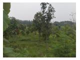Dijual tanah kavling 9300 meter