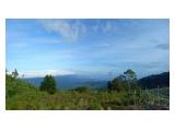 Disewakan Tanah VIEW LUAR BIASA di Dusun Tamblingan Munduk Buleleng Bali Utara