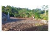 Disewakan Tanah VIEW LUAR BIASA di Dusun Tamblingan Munduk Buleleng Bali Utara