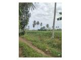 TANAH KEBUN JALAN LINTAS SUMATERA