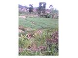 jual tanah