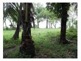 Tanah luas di desa Sembiran view Pantai