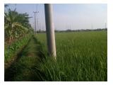 bu jual tanah 41.880 m2 (nego)