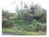 Dijual kebun coklat