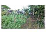 View ke utara